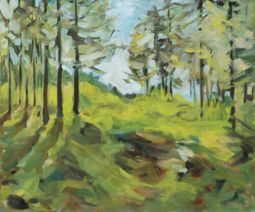Bavarian forest scene with tall trees
